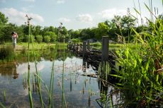 Natur-und Erlebnisweiher